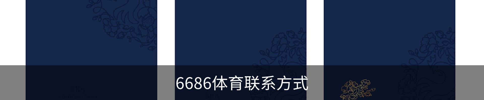 6686体育联系方式
